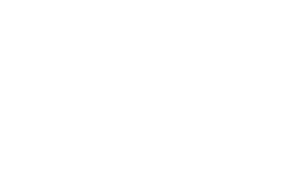 logo cyber security manager